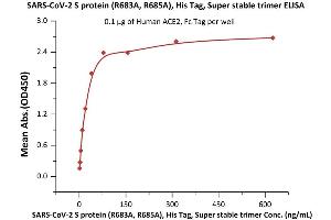 SARS-CoV-2 Spike Protein (Super Stable Trimer) (His tag)