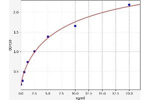 SAT1 ELISA Kit