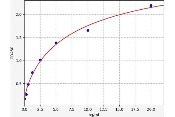 SAT1 ELISA Kit