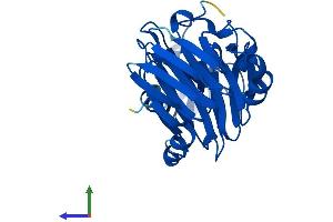 AlphaFold protein structure predicition of Mouse Recombinant Haao Protein, UniprotID Q78JT3 (HAAO Protein (AA 1-286) (His tag))