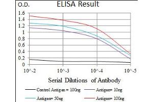 Image no. 2 for anti-Twist Homolog 1 (Drosophila) (TWIST1) antibody (ABIN1491700) (TWIST1 antibody)