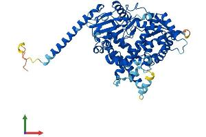 AlphaFold protein structure predicition of Human Recombinant CYP4F11 Protein, UniprotID Q9HBI6 (CYP4F11 Protein (AA 1-524) (His tag))