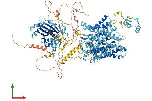 AlphaFold protein structure predicition of Mouse Recombinant Slc4a10 Protein, UniprotID Q5DTL9 (SLC4A10 Protein (AA 1-1118) (His tag))