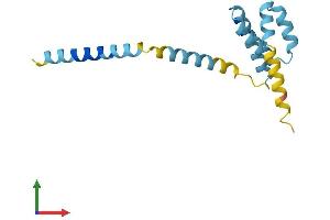 AlphaFold protein structure predicition of Human Recombinant TOMM20 Protein, UniprotID Q15388