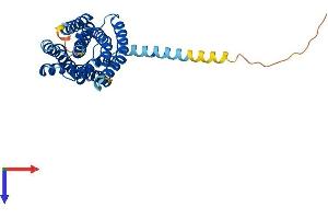 FFAR2 Protein (AA 1-330) (His tag)
