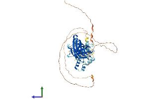 AlphaFold protein structure predicition of Human Recombinant SYTL1 Protein, UniprotID Q8IYJ3