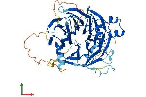 Protein Structure (PS) image for WD Repeat and SOCS Box Containing 1 (WSB1) (AA 1-421) protein (His tag) (ABIN7545203)