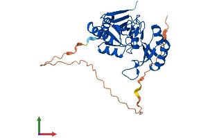 AlphaFold protein structure predicition of Mouse Recombinant Rpia Protein, UniprotID P47968 (Ribose 5-Phosphate Isomerase A (RPIA) (AA 1-303) protein (His tag))
