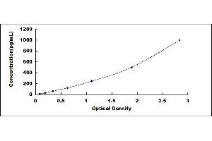 Typical standard curve (VEGFC ELISA Kit)