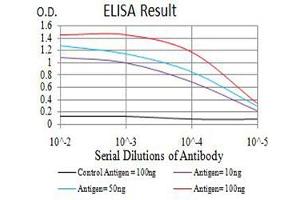 ELISA image for anti-Transcription Factor AP-2 beta (Activating Enhancer Binding Protein 2 Beta) (TFAP2B) (AA 84-193) antibody (ABIN5611289)