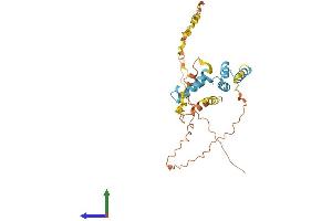 AlphaFold protein structure predicition of Human Recombinant SCAND2P Protein, UniprotID Q9GZW5 (SCAND2 Protein (AA 1-306) (His tag))