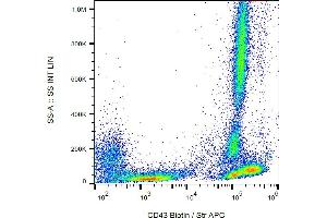 Flow cytometry analysis (surface staining) of human peripheral blood with anti-CD43 (MEM-59) biotin / streptavidin-APC. (CD43 antibody  (Biotin))