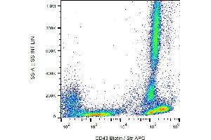 Flow cytometry analysis (surface staining) of human peripheral blood with anti-CD43 (MEM-59) biotin / streptavidin-APC. (CD43 antibody  (Biotin))