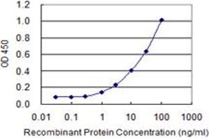 Detection limit for recombinant GST tagged MYO9A is 0. (Myosin IXA antibody  (AA 719-828))