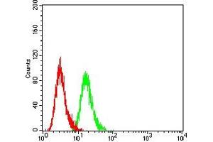 Flow cytometric analysis of Hela cells using PAX2 mouse mAb (green) and negative control (red). (PAX2A antibody  (AA 194-304))