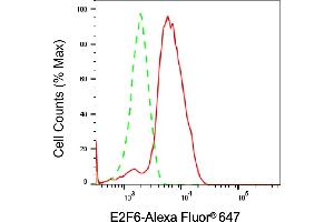 Flow cytometric analysis of E2F6 expression in HeLa cells using E2F6 antibody (ABIN7798416), 1:2,000).