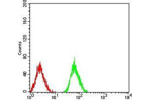 Flow cytometric analysis of Jurkat cells using LRP1 mouse mAb (green) and negative control (red).