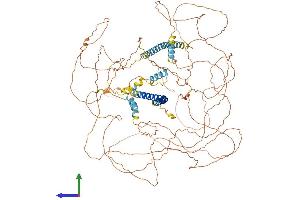 AlphaFold protein structure predicition of Mouse Recombinant Maml1 Protein, UniprotID Q6T264