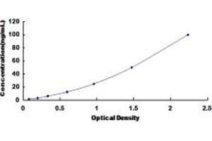 Typical standard curve (VEGFR2/CD309 ELISA Kit)