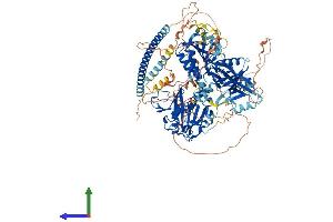 AlphaFold protein structure predicition of Human Recombinant SIPA1 Protein, UniprotID Q96FS4 (SIPA1 Protein (AA 1-1042) (His tag))
