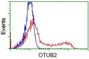 Image no. 2 for anti-OTU Domain, Ubiquitin Aldehyde Binding 2 (OTUB2) antibody (ABIN1499939) (OTUB2 antibody)