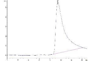 The purity of Cynomolgus CLEC12A is greater than 95 % as determined by SEC-HPLC.