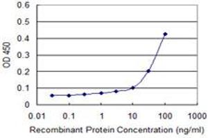 Detection limit for recombinant GST tagged NFATC3 is approximately 10ng/ml as a capture antibody. (NFATC3 antibody  (AA 70-149))