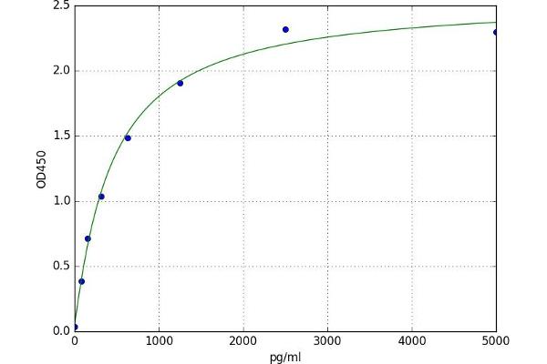 TMEM127 ELISA Kit