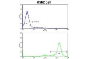 Flow Cytometry (FACS) image for anti-MDM2 Binding Protein (MTBP) antibody (ABIN3002735) (MTBP antibody)