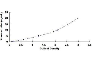 Typical standard curve (BCL2L1 ELISA Kit)