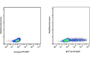 Detection of IFN-ү by flow cytometry in viable ferret spleen cells. (Interferon gamma antibody  (PromoFluor-488 Premium))