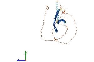 AlphaFold protein structure predicition of Human Recombinant KRT10 Protein, UniprotID P13645 (Keratin 10 Protein (KRT10) (AA 1-584) (His tag))