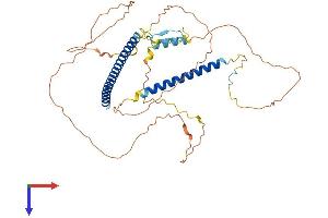 Protein Structure (PS) image for TRAF Family Member-Associated NFKB Activator (TANK) (AA 1-425) protein (His tag) (ABIN7544139)
