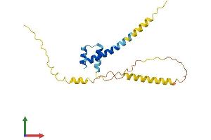 AlphaFold protein structure predicition of Human Recombinant NANOGNB Protein, UniprotID Q7Z5D8 (NANOGNB Protein (AA 1-188) (His tag))