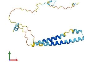 Protein Structure (PS) image for Integrin beta 3 Binding Protein (Beta3-Endonexin) (ITGB3BP) (AA 1-177) protein (His tag) (ABIN7553236)
