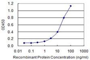 Detection limit for recombinant GST tagged CTBS is 0. (CTBS antibody  (AA 37-105))