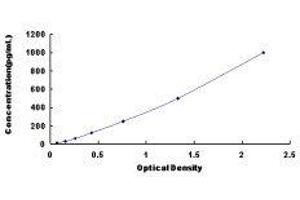 Fibroblast Growth Factor 11 (FGF11) ELISA Kit