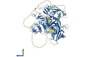 Protein Structure (PS) image for Diacylglycerol Kinase, zeta (DGKZ) (AA 1-929) protein (His tag) (ABIN7564262)