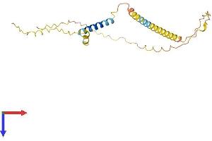AlphaFold protein structure predicition of Human Recombinant FAM27D1 Protein, UniprotID Q5T7N8 (FAM27D1 Protein (AA 1-215) (His tag))