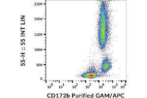 Flow cytometry analysis (surface staining) of human peripheral blood cells with anti-human CD172b (B4B6) purified, GAM-APC. (CD172b / SIRP beta antibody)