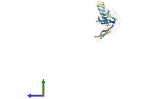 Protein Structure (PS) image for Ribosome Binding Protein 1 (RRBP1) (AA 1-1410) protein (His tag) (ABIN7555273)