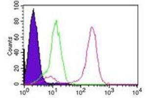 IKKgamma Flow Cytometry Flow Cytometry of Mouse Anti- IKKgamma antibody. (IKBKG antibody)