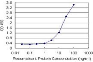 Sandwich ELISA detection sensitivity ranging from 0. (HMGB2 (Human) Matched Antibody Pair)