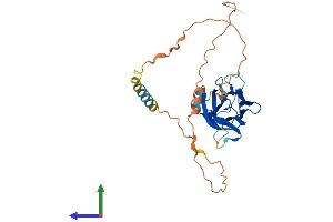 AlphaFold protein structure predicition of Mouse Recombinant Tnfsf9 Protein, UniprotID P41274 (TNFSF9 Protein (AA 1-309) (His tag))