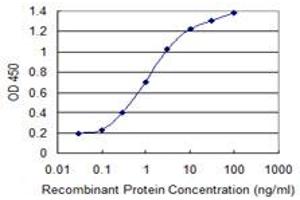 Detection limit for recombinant GST tagged CHUK is 0. (IKK alpha antibody  (AA 646-745))