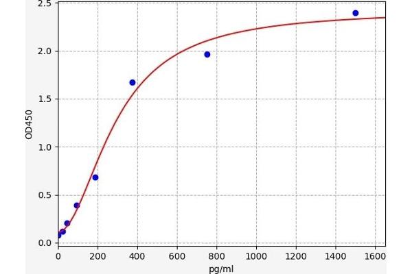 BMP8B ELISA Kit
