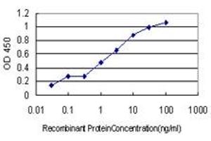 Detection limit for recombinant GST tagged GCH1 is approximately 0. (GCH1 antibody  (AA 84-172))