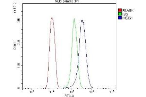 Flow Cytometry analysis of HEPA1-6 cells using anti-Insig1 antibody (ABIN7603176). (INSIG1 antibody  (N-Term))