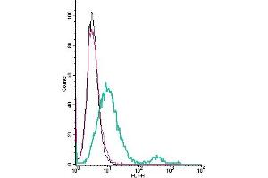 Cell surface detection of GPR18 by indirect flow cytometry in live intact mouse  microglia cells: + goat-anti-rabbit-FITC .