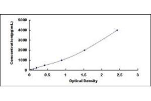 Typical standard curve (SFRP4 ELISA Kit)